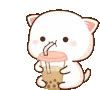 catsip