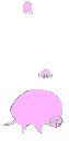 Jellyfishbounce