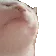 catJam catJam