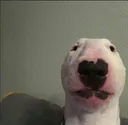__