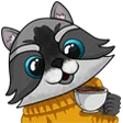 raccoontea raccoontea