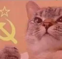 ourcot