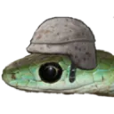 mav