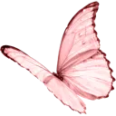 pink_butterfly