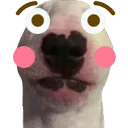 flushedwalter flushedwalter
