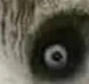 sp00k2
