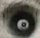 sp00k1 sp00k1