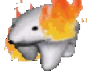 bearfire