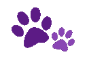 Paws