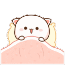 Catpeekaboo Discord Emoji