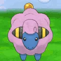 mareep_baaa