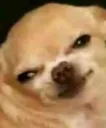 Hiss