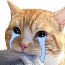crykitty crykitty
