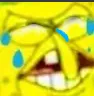 SpongeCri
