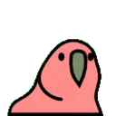BirdyDance