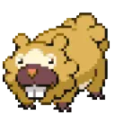 bidoof