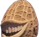 nut