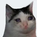 sadcat