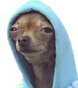 suspiciousgoat