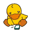 Bored_Duck