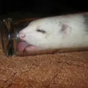 i_sleep