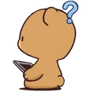 bearlookquestionconfusion001