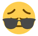 Pensive_Sunglasses