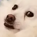 jujin jujin