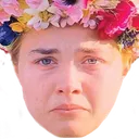sadfacepugh
