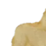 Doge_1