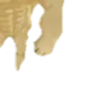 Doge_4