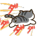 runcat
