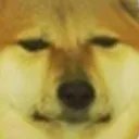 bruh