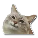 blinicathappy