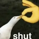 Shut