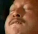 nut