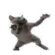 CatDance