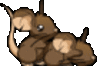 ratsex