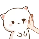cat_pat