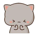 cat_shy