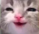 Hehe