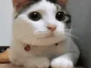 no no