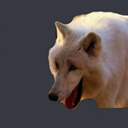 heh_dog Discord emoji