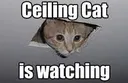 Ceiling_cat_is_watching_you Discord Emoji