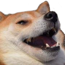 kek Discord emoji