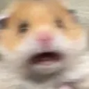 boo