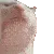 a_catJAM a_catJAM