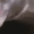 bigpog4