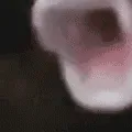bigpog3