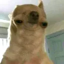 doggyneck
